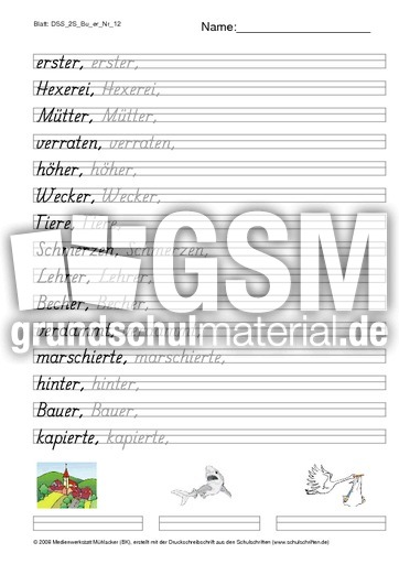 DSS_2S_Bu_er_Nr_12.pdf